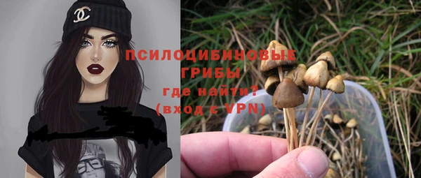 стафф Нефтегорск