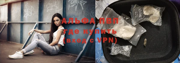 стафф Нефтегорск