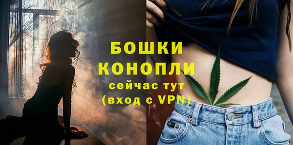 стафф Нефтегорск