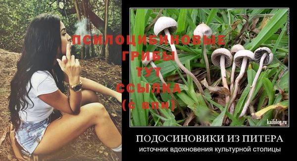 стафф Нефтегорск